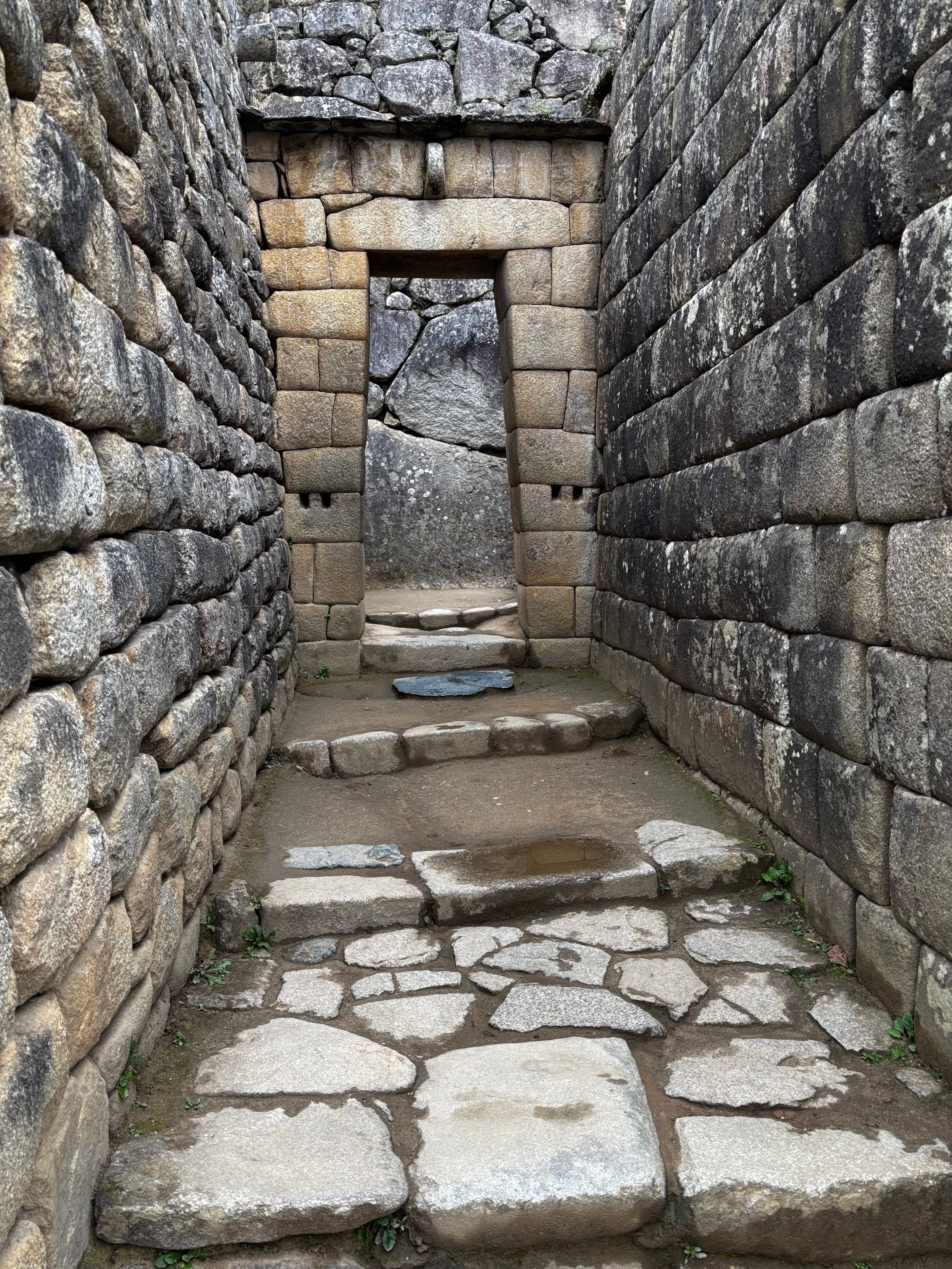 Opening the Door — Leah's upcoming book